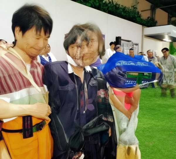 桃花盛开之地，歌词中的诗意人生,在那桃花盛开的地方，歌词背后的诗意与人生感悟,旋律,永恒,第1张